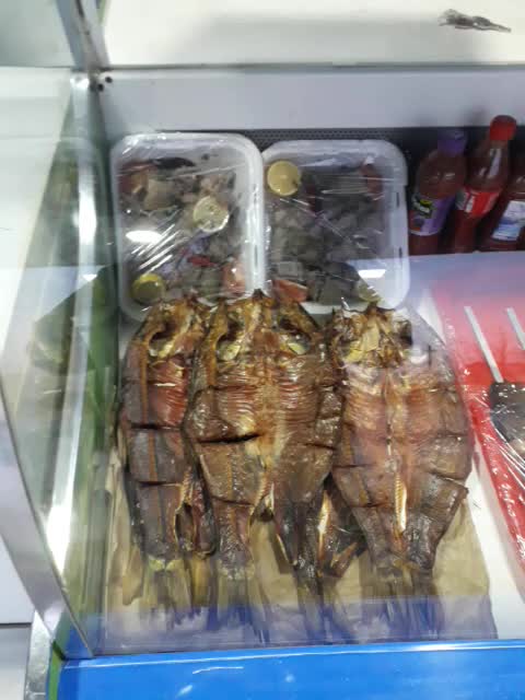 @ulug'bey