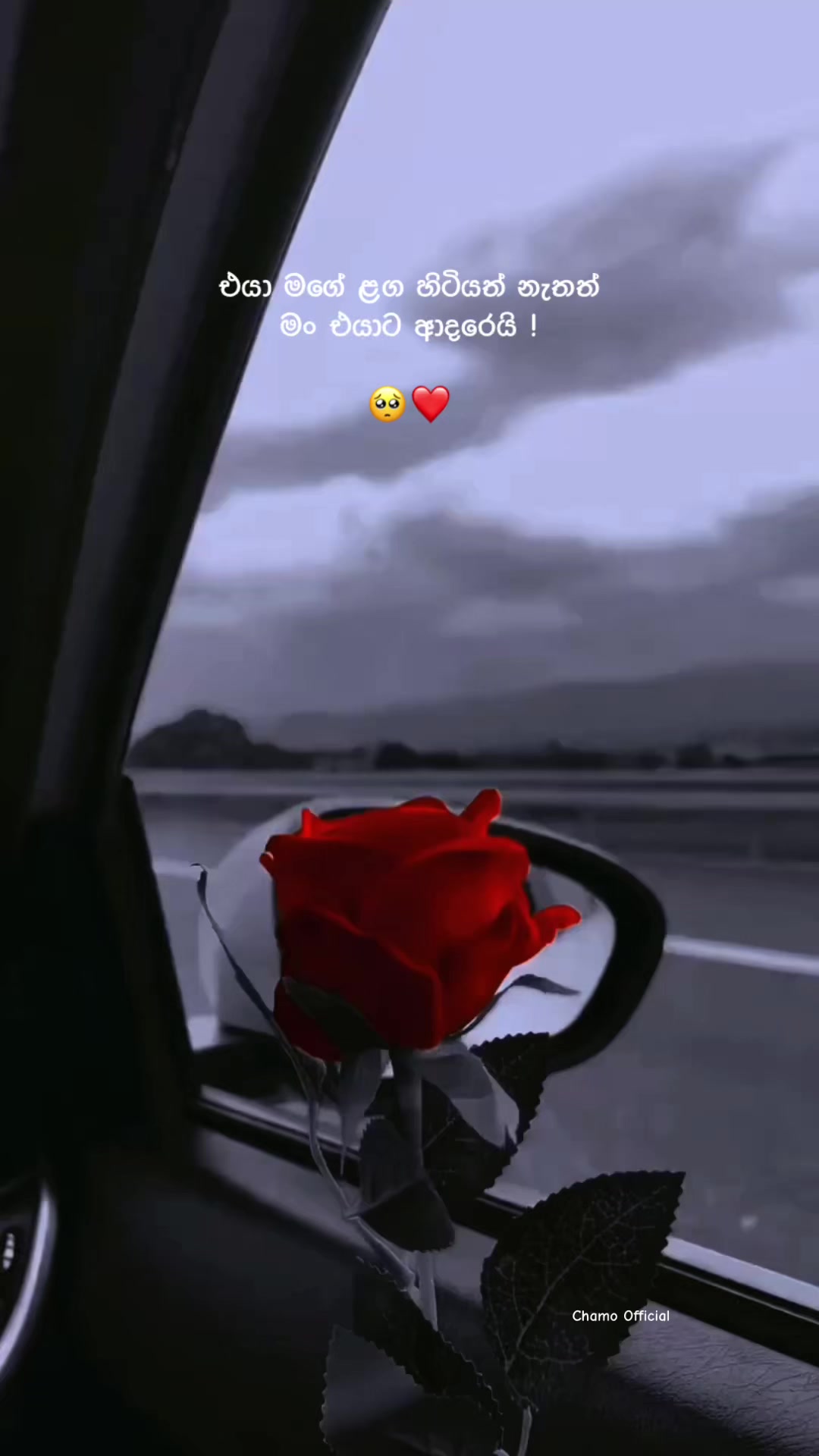 @< 𝐂𝐡𝐚𝐦𝐨 ᥫ᭡