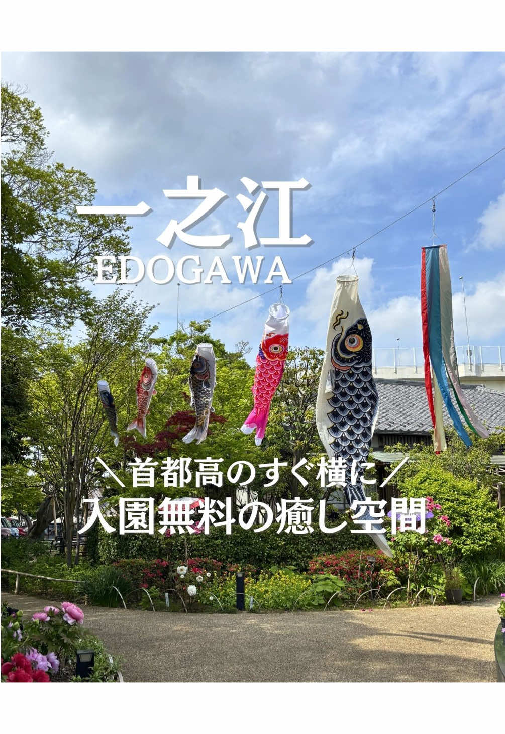 @ことり〻江戸川区 まちの魅力再発見