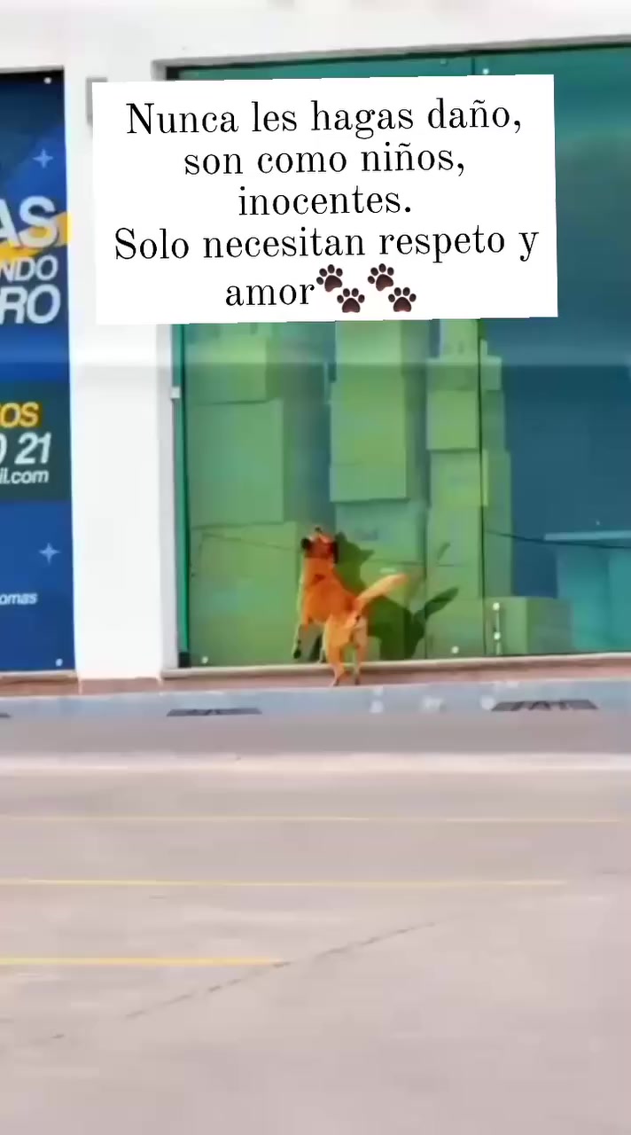 @varcan❤️