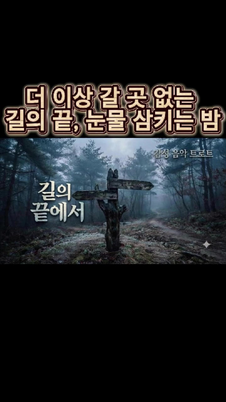 @감성 음악 트로트