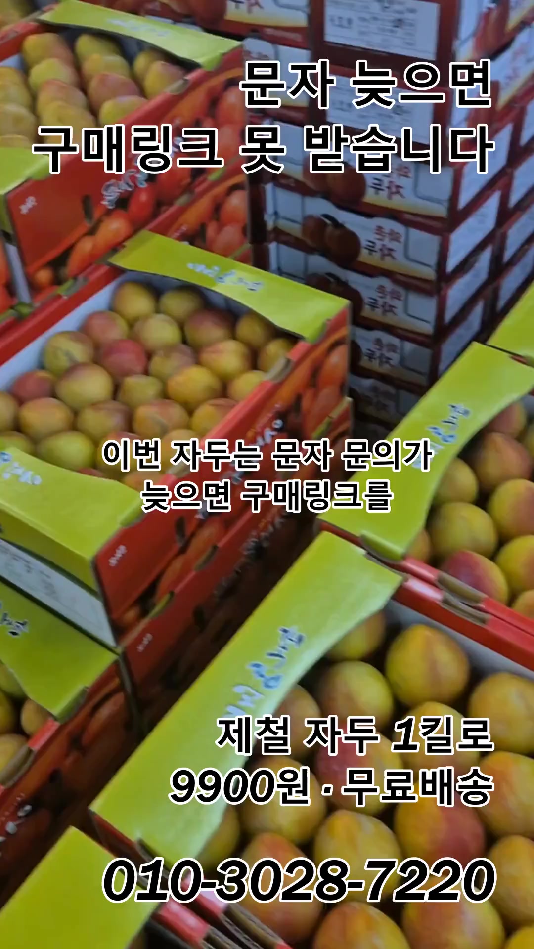 @새콤과일장터