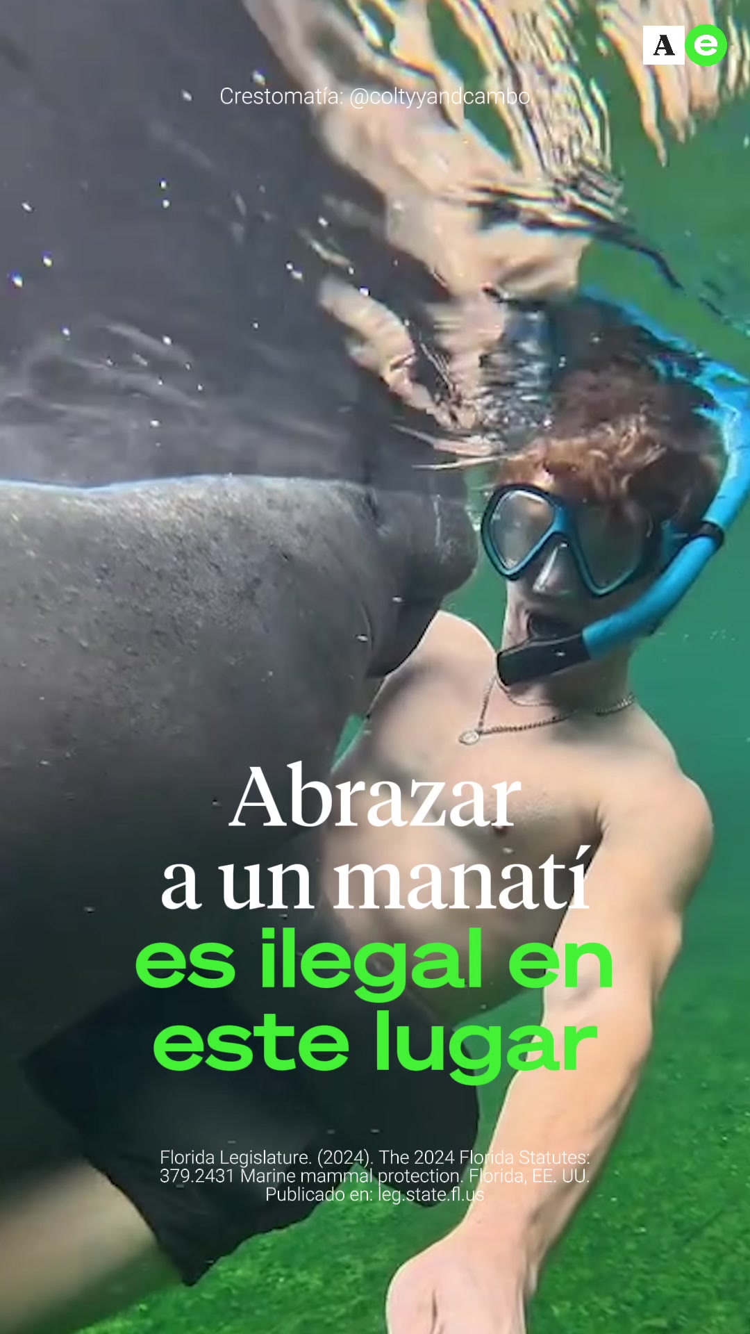 @Ahora Entiendo