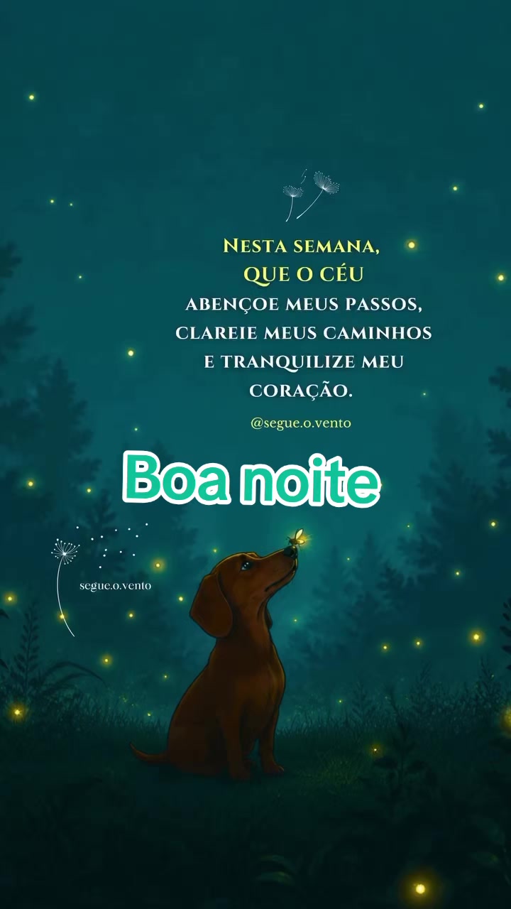 @Silvia Regina Campos