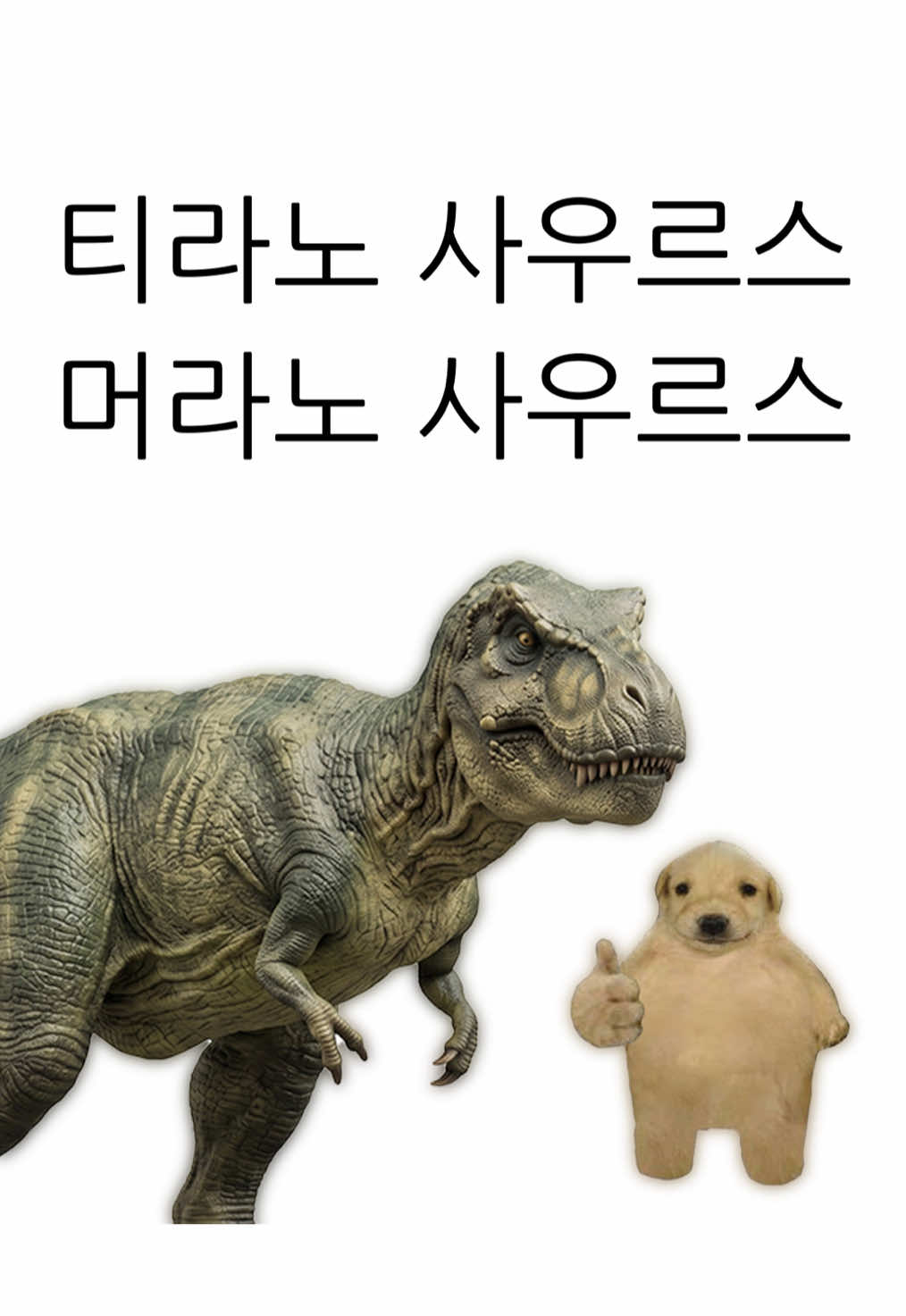 @아무개란