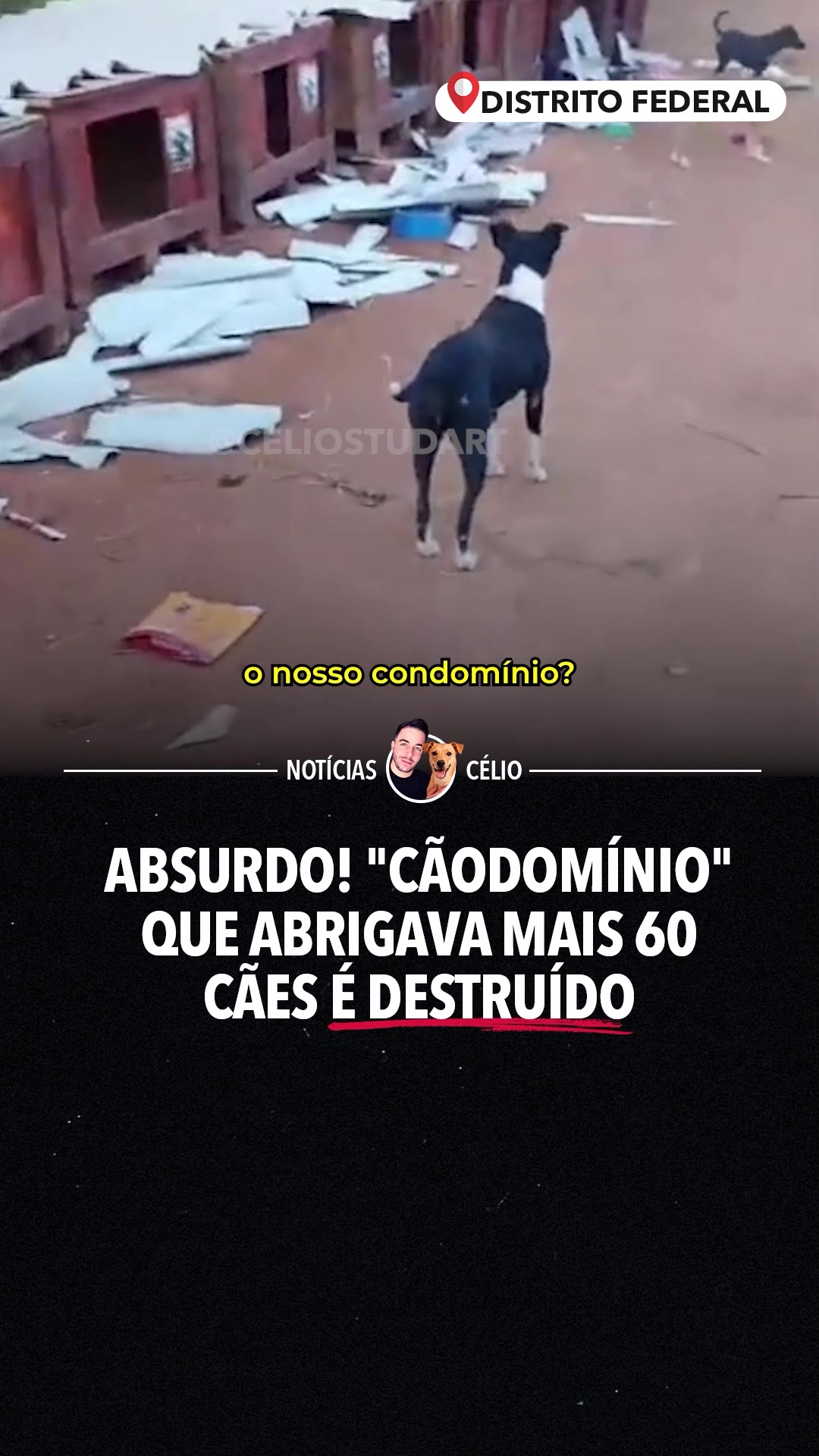 @celiostudart