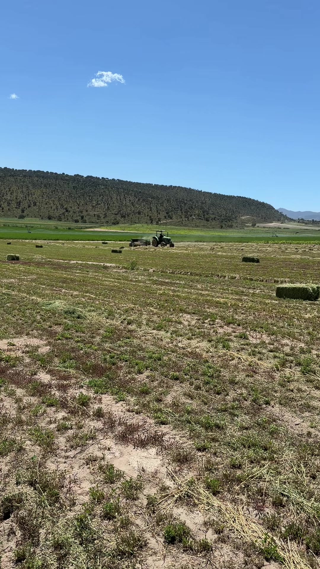 @Cuadra el Tigre