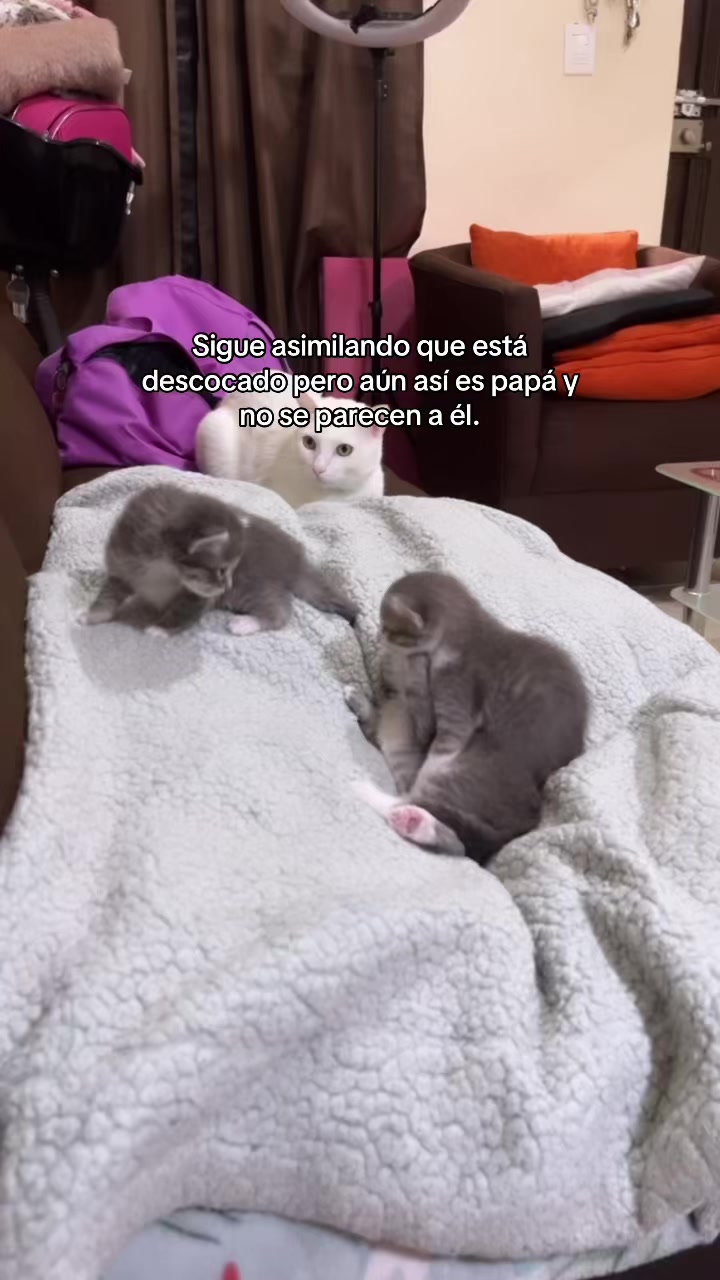 @Anna García