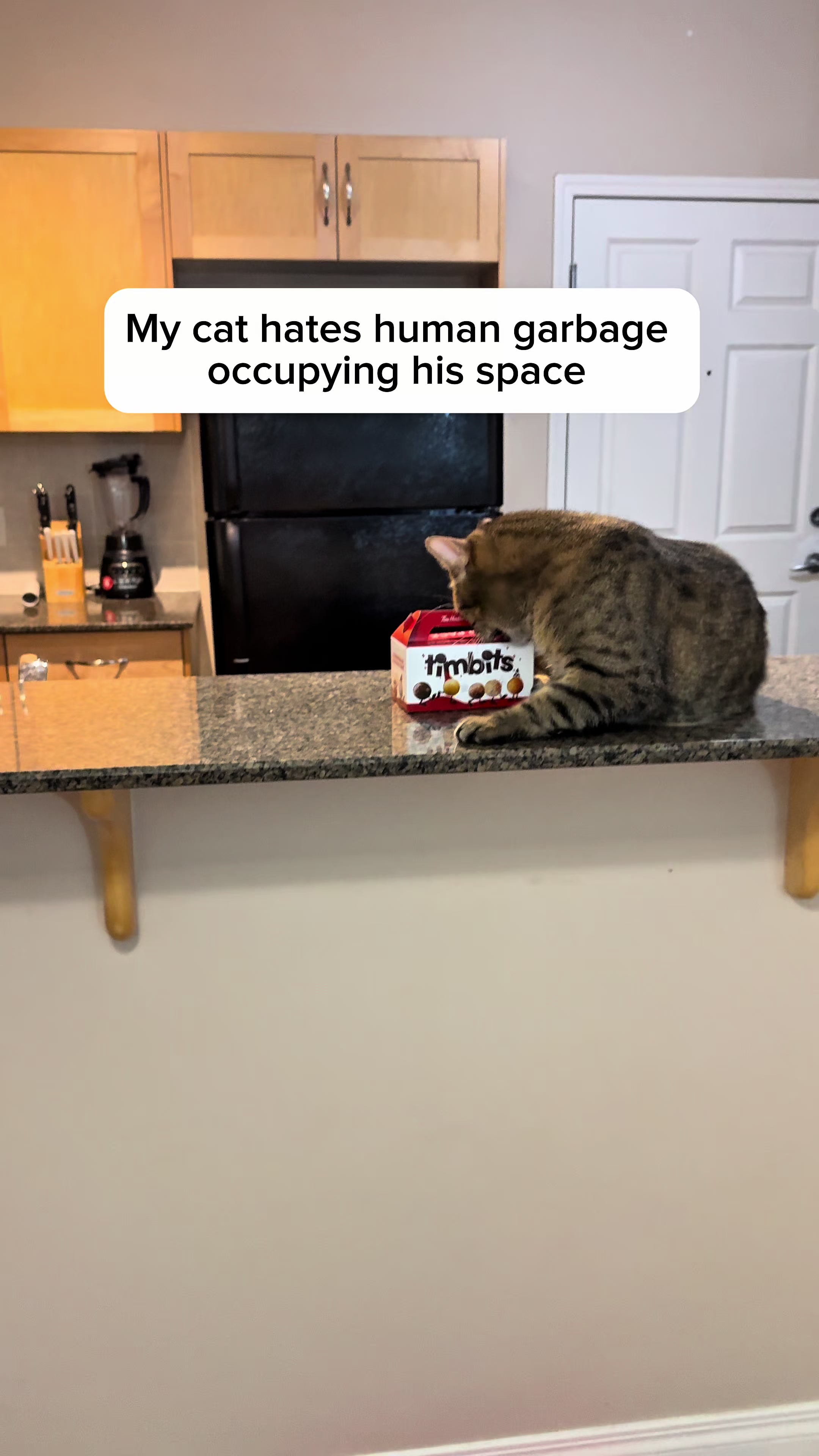 @Three Nawty Cats