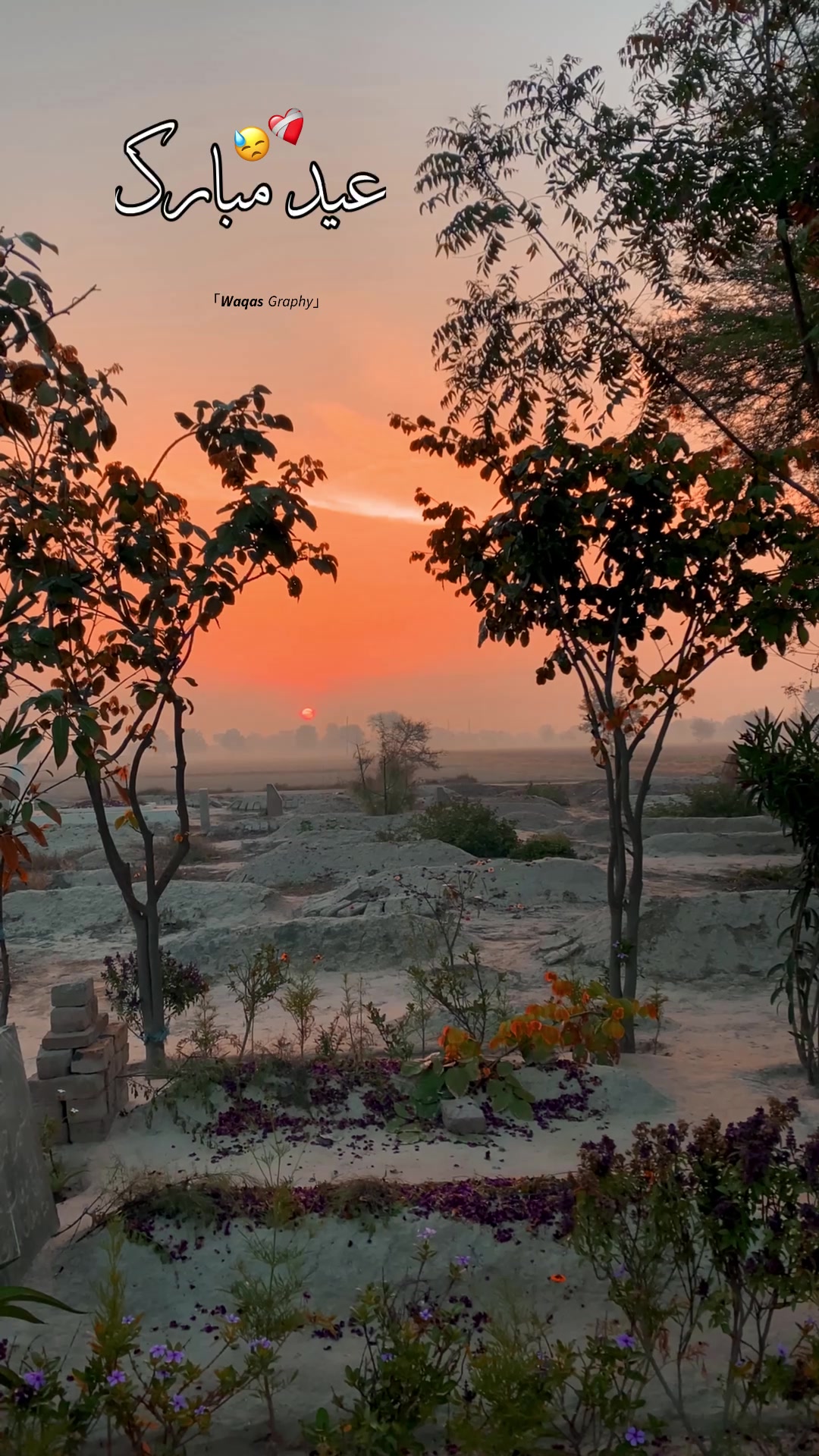 @𝙒𝙖𝙦𝙖𝙨 𝘎𝘳𝘢𝘱𝘩𝘺