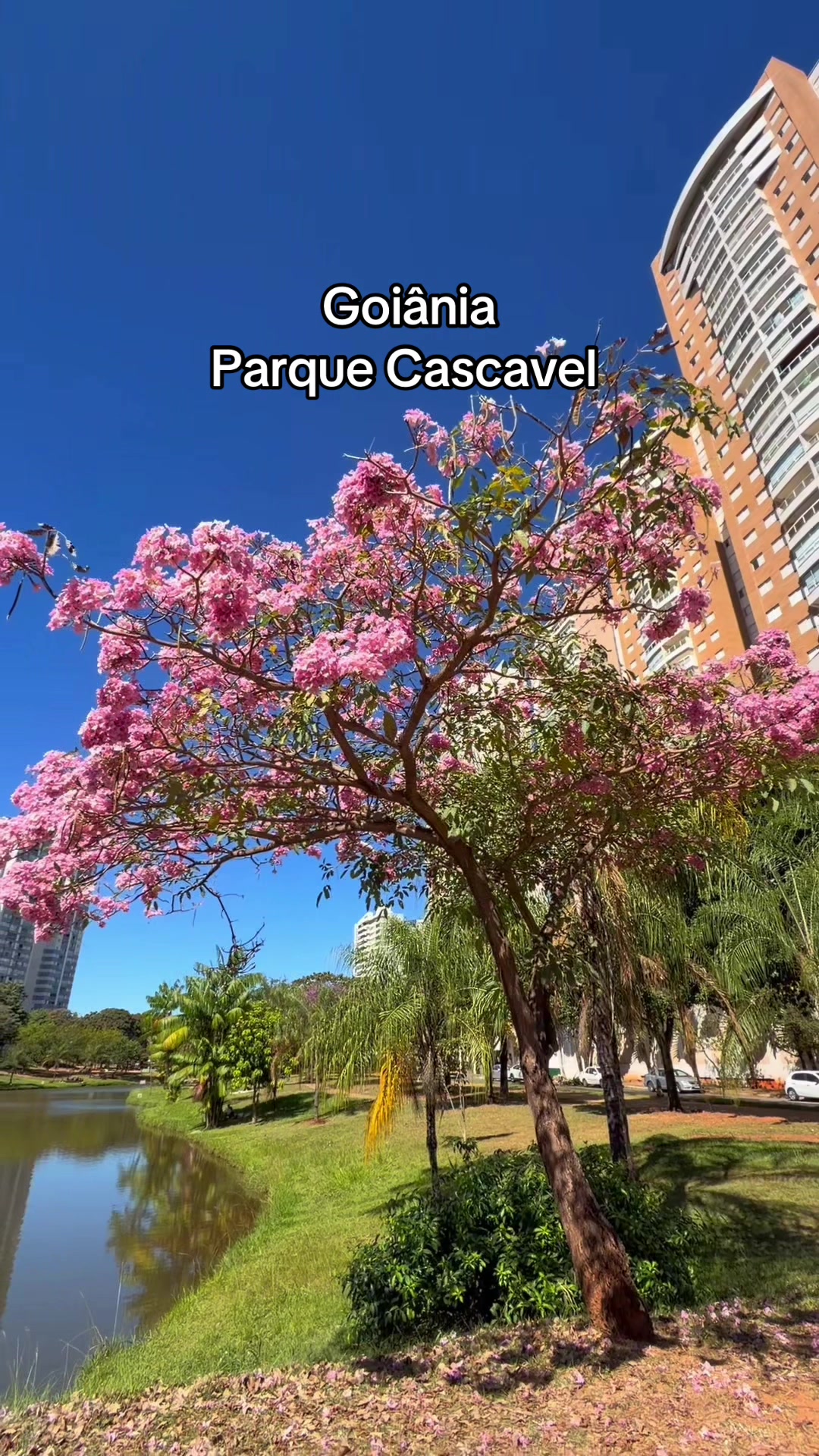@Marillia Gabriella Barbosa