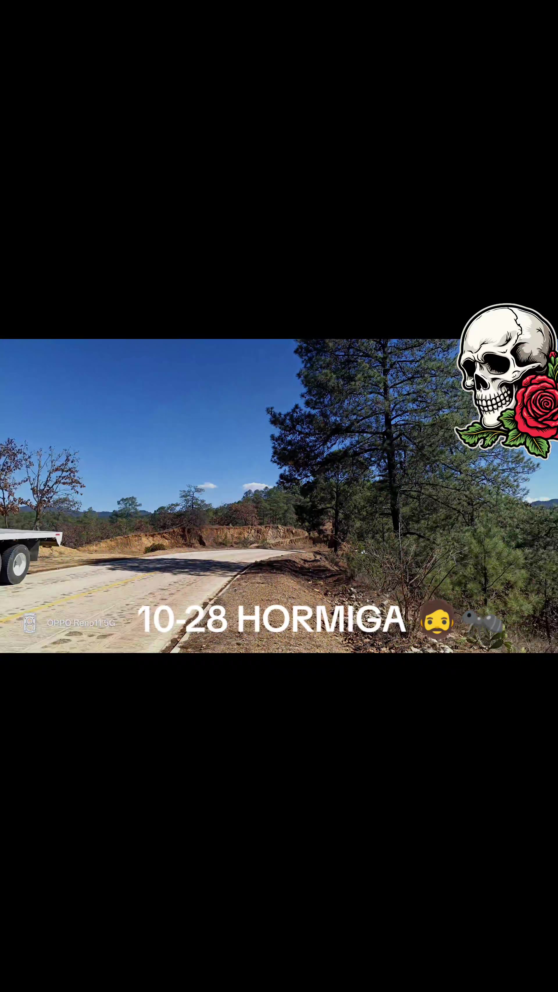 @10/28 Hormiga 0~0JM