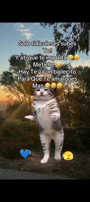 @🇪&nbsp;🇩&nbsp;🇺&nbsp;🇦&nbsp;🇷&nbsp;🇩&nbsp;🇴 🇲🇽