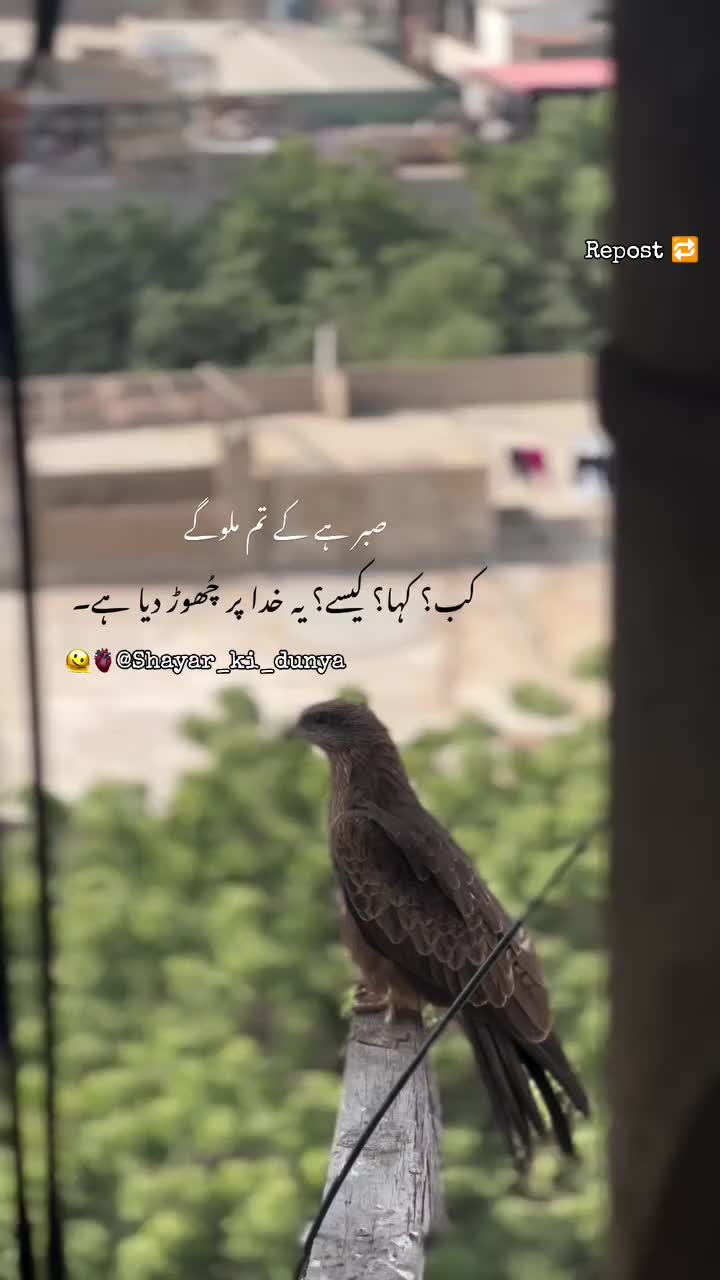 @⚠️⇝ꌚᏂ&ordf;𝓎&ordf;𝖗⇝⚠️