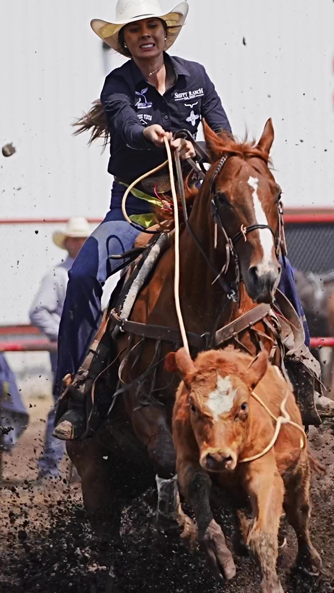 @Hanginghorses