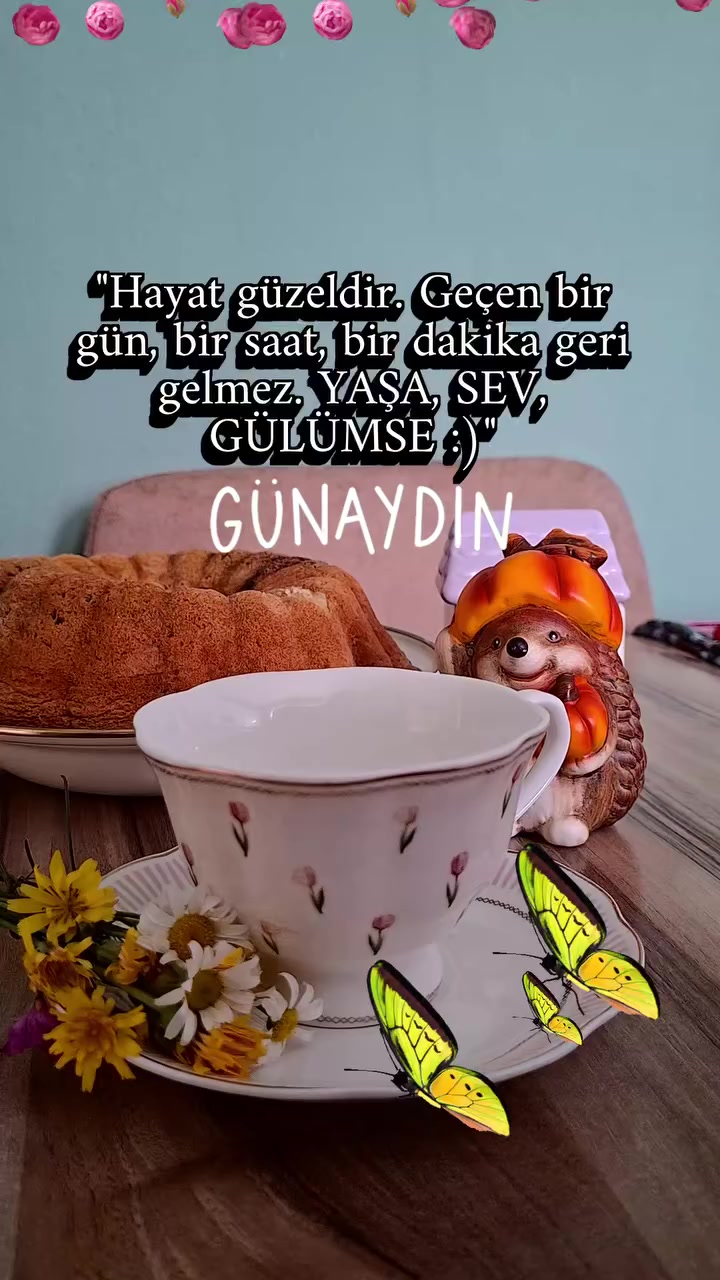 @Hasan Yılmaz