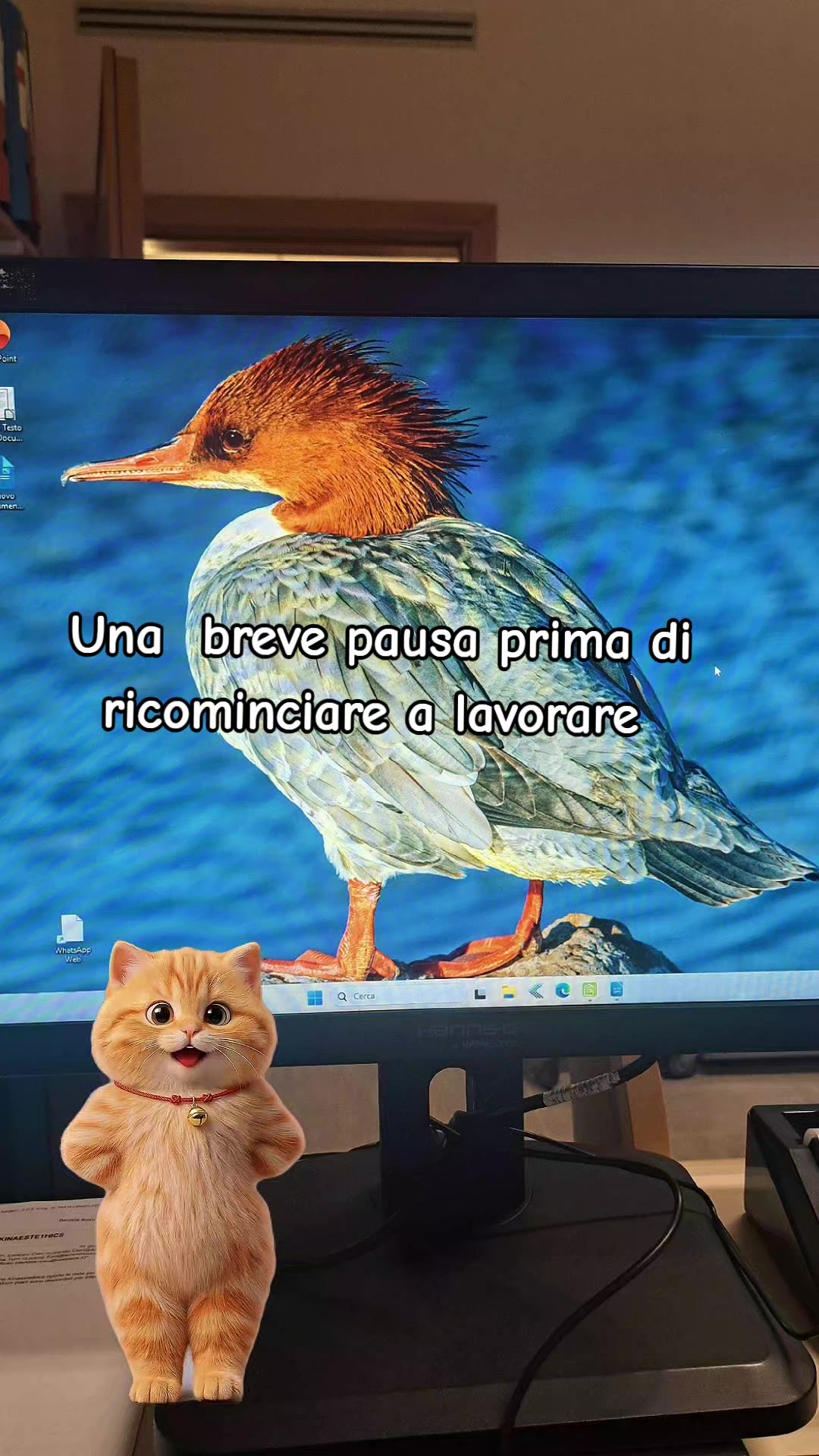 @susy Salomon