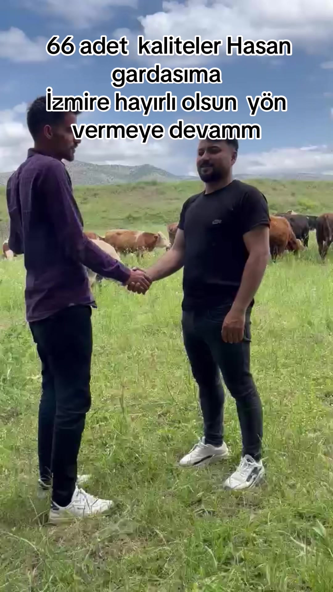 @Ender_yksl0