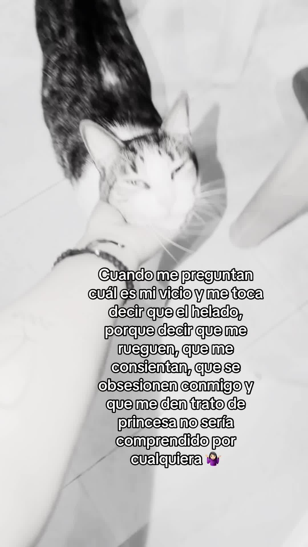 @🦦.𝒫𝒶𝓁𝒶𝒸𝒾ℴ𝓈.