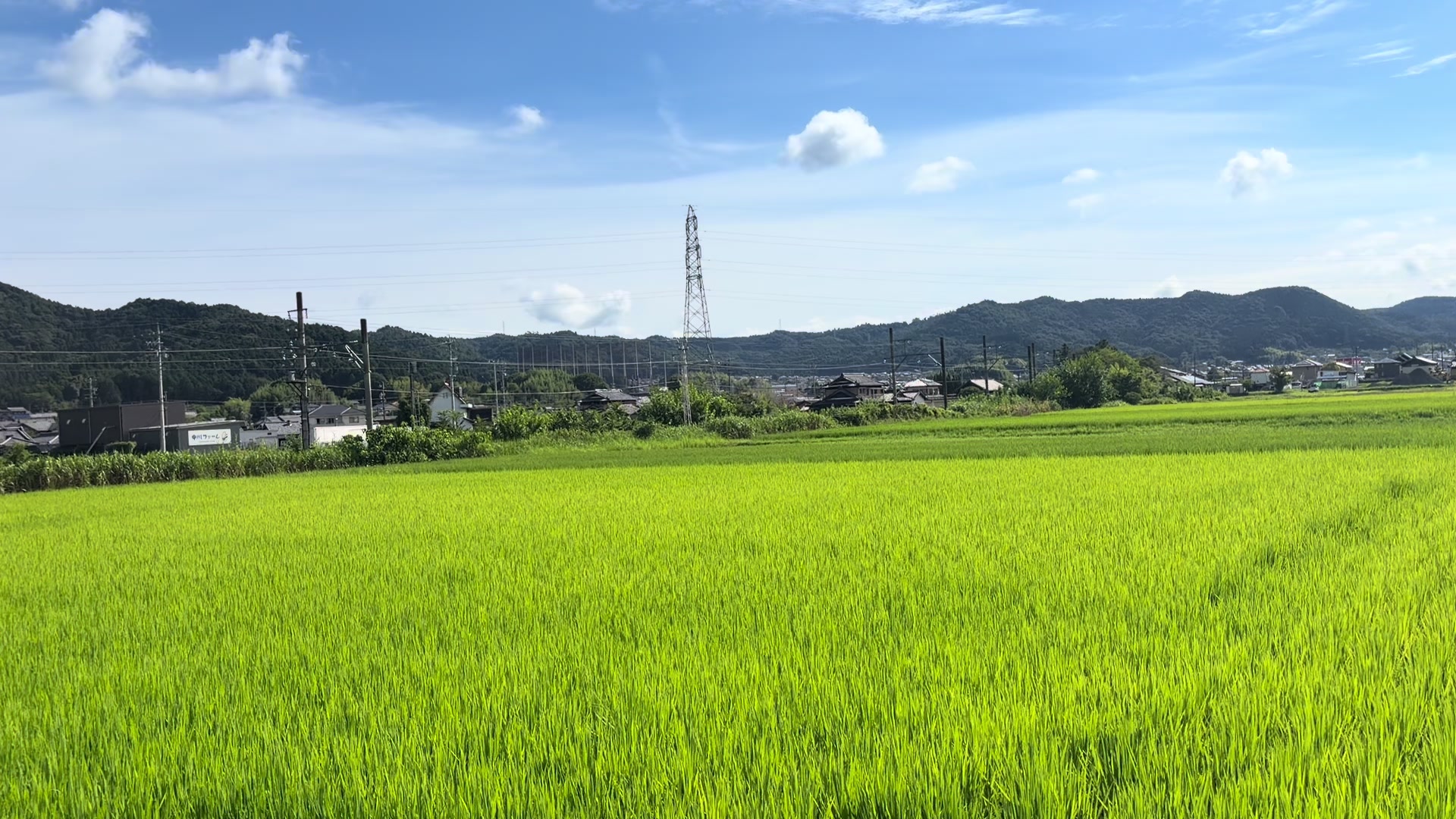@たくま
