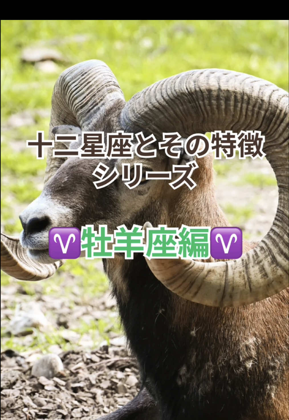 @とまり木整体院