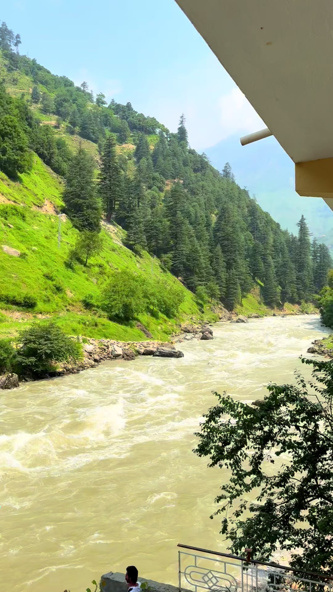 @wadood shah