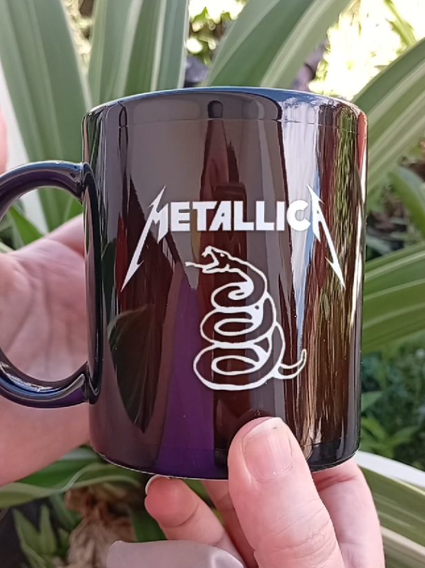 @B&aacute;rbarosRock