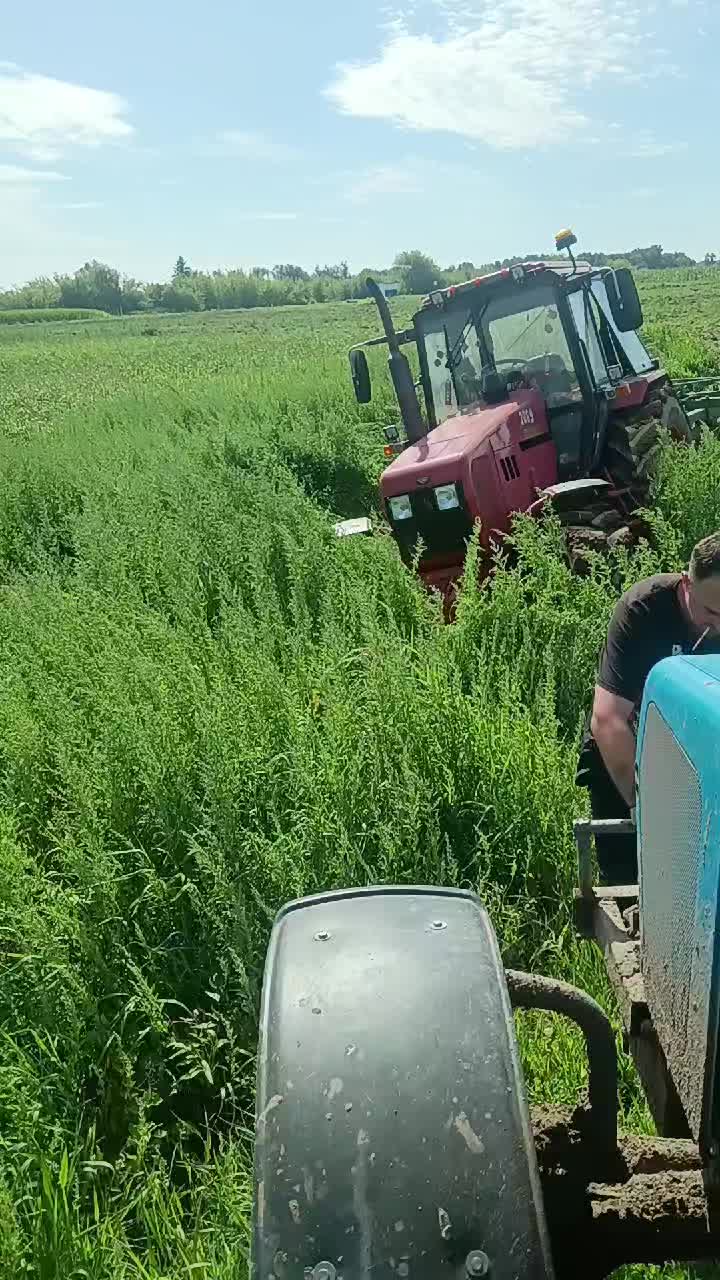 @Виталик Кожецкий