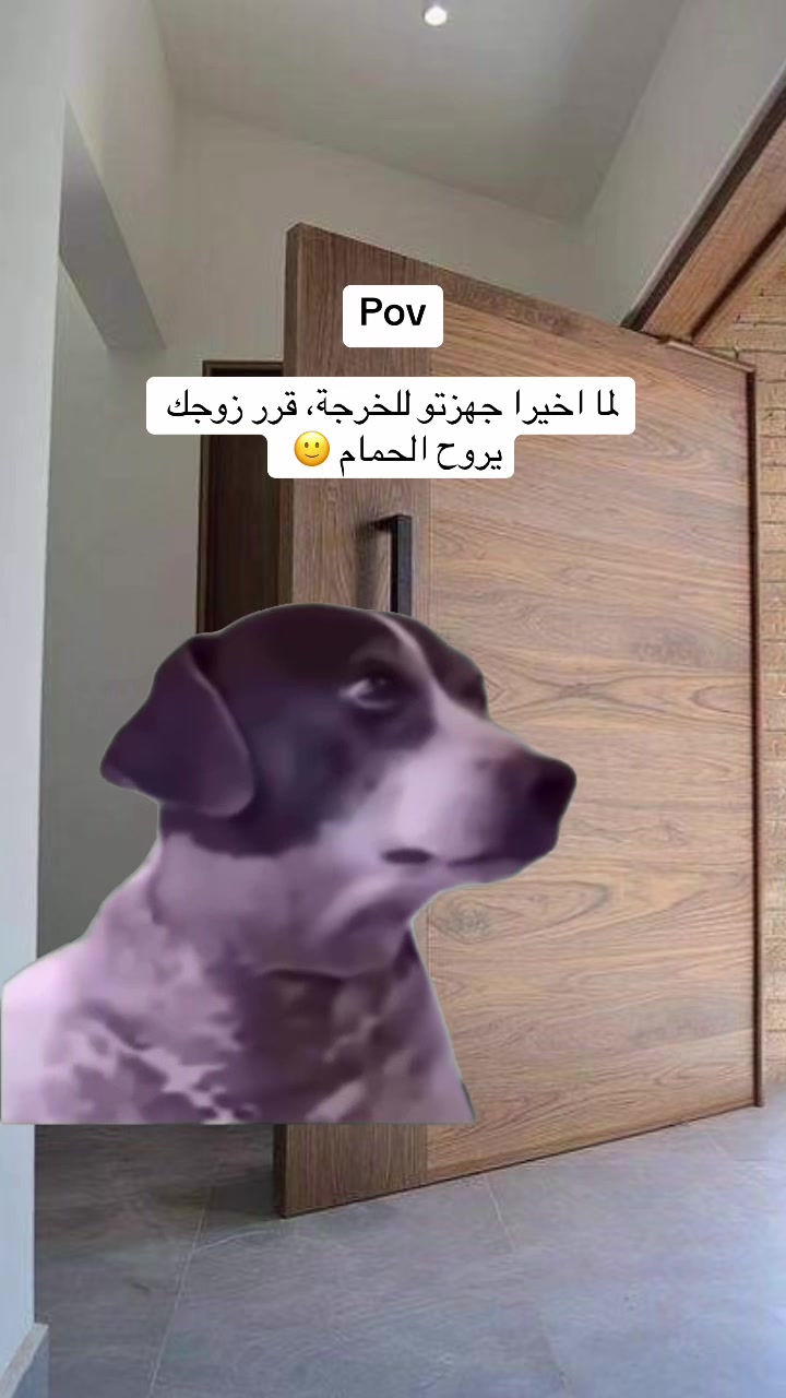 @SARA