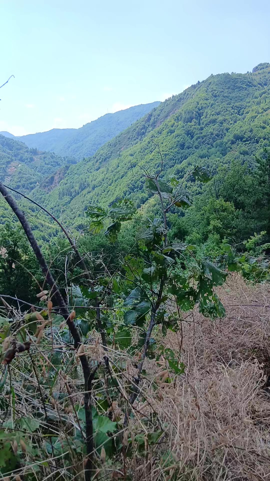 @Özkan Can Altıntaş