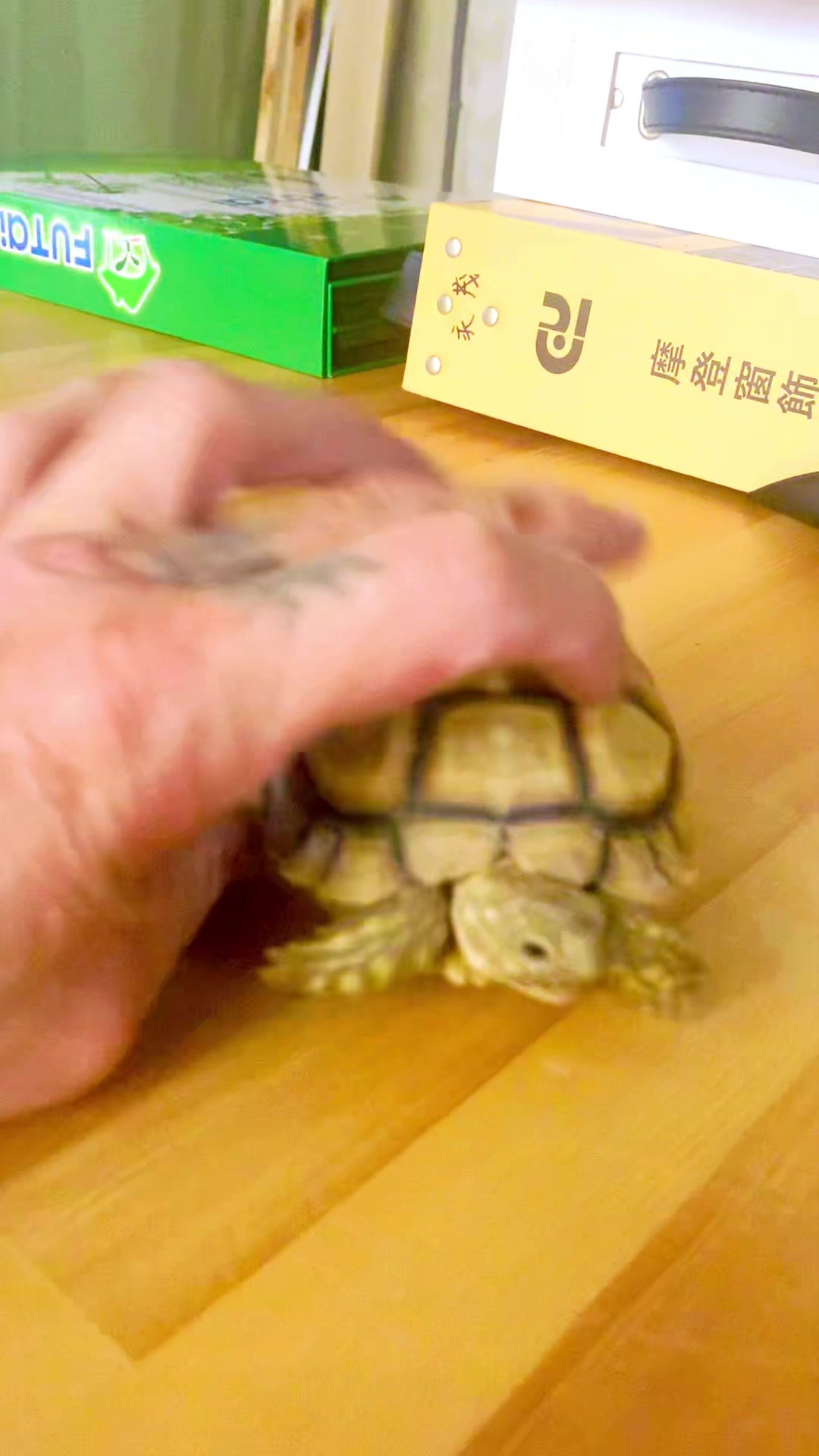 @高飛