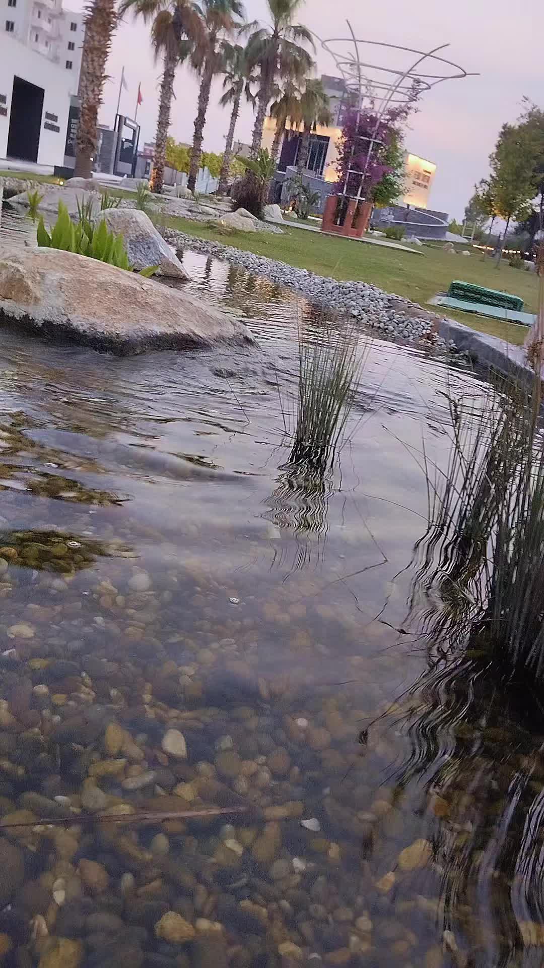 @🌼