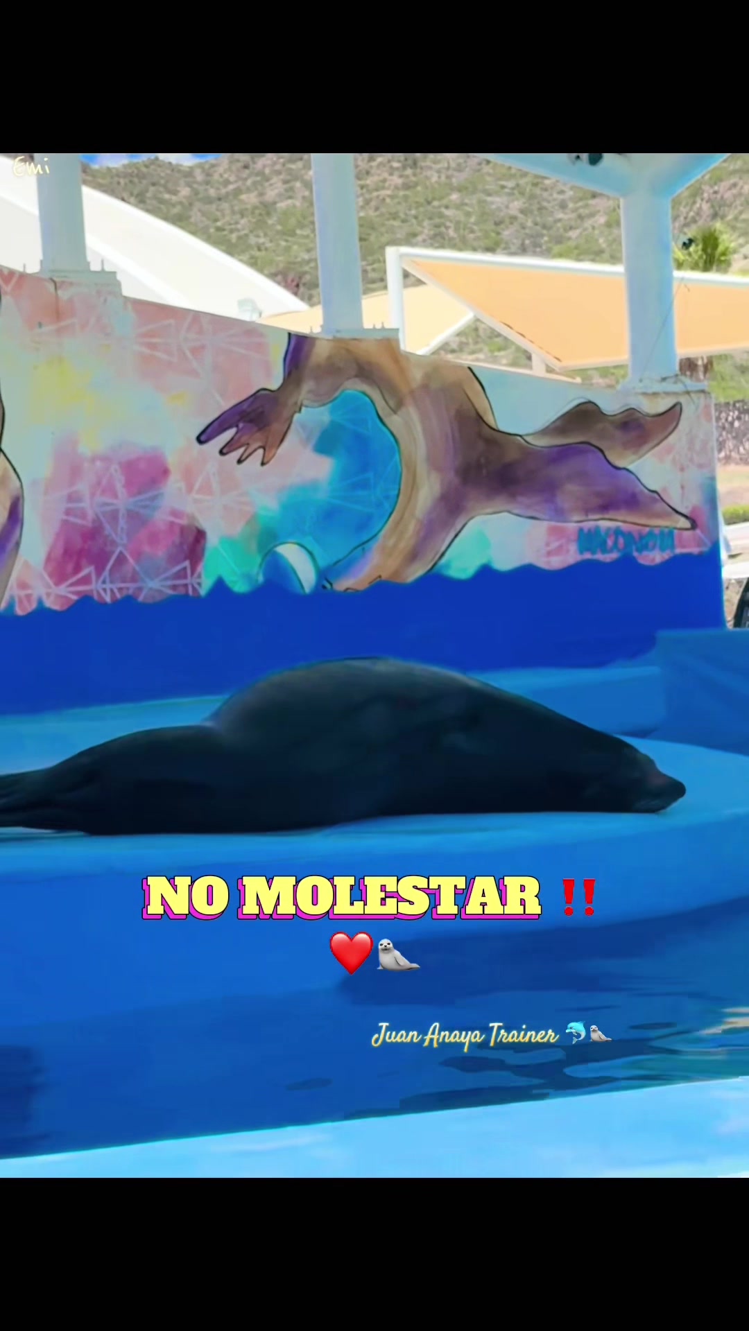 @Juan Anaya Trainer 🐬🦭