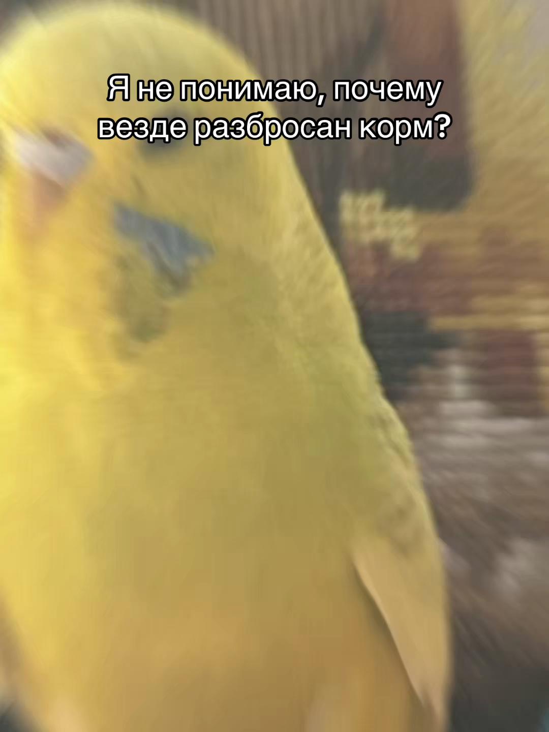 @_aliaswwqz
