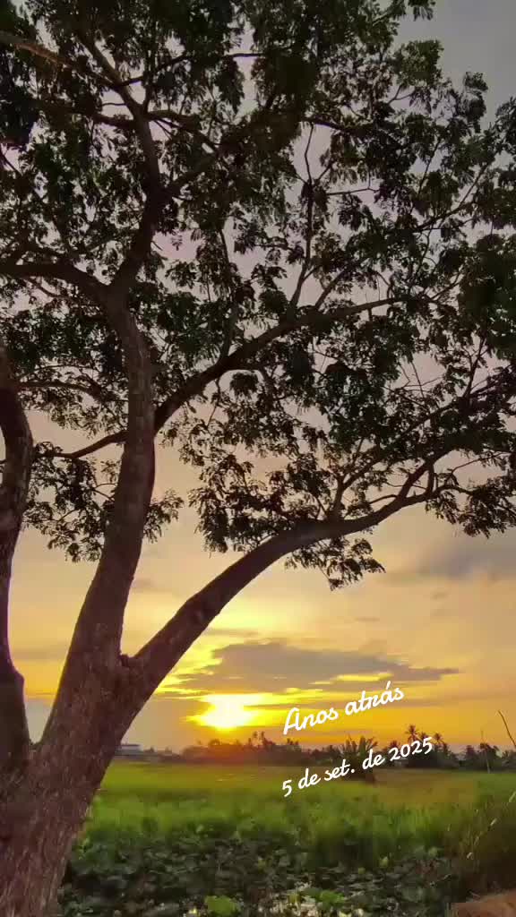 @vandaforferreiramaf