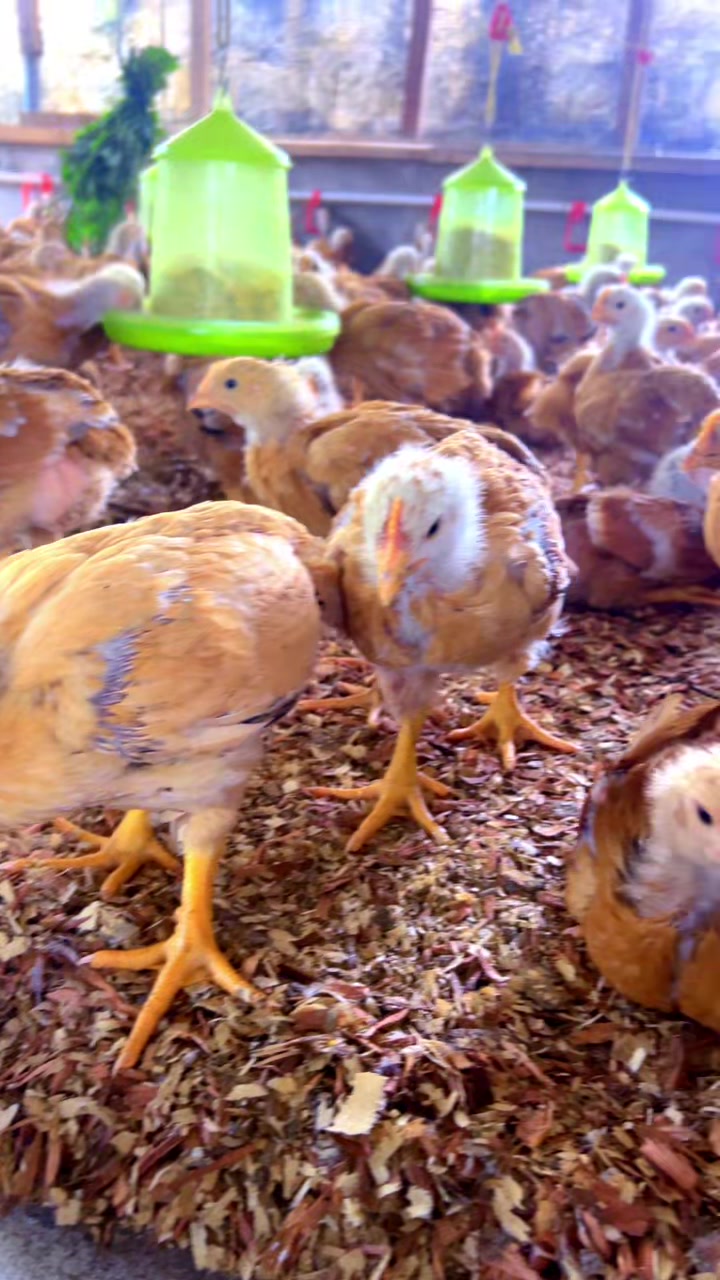 @evansjobsfarms