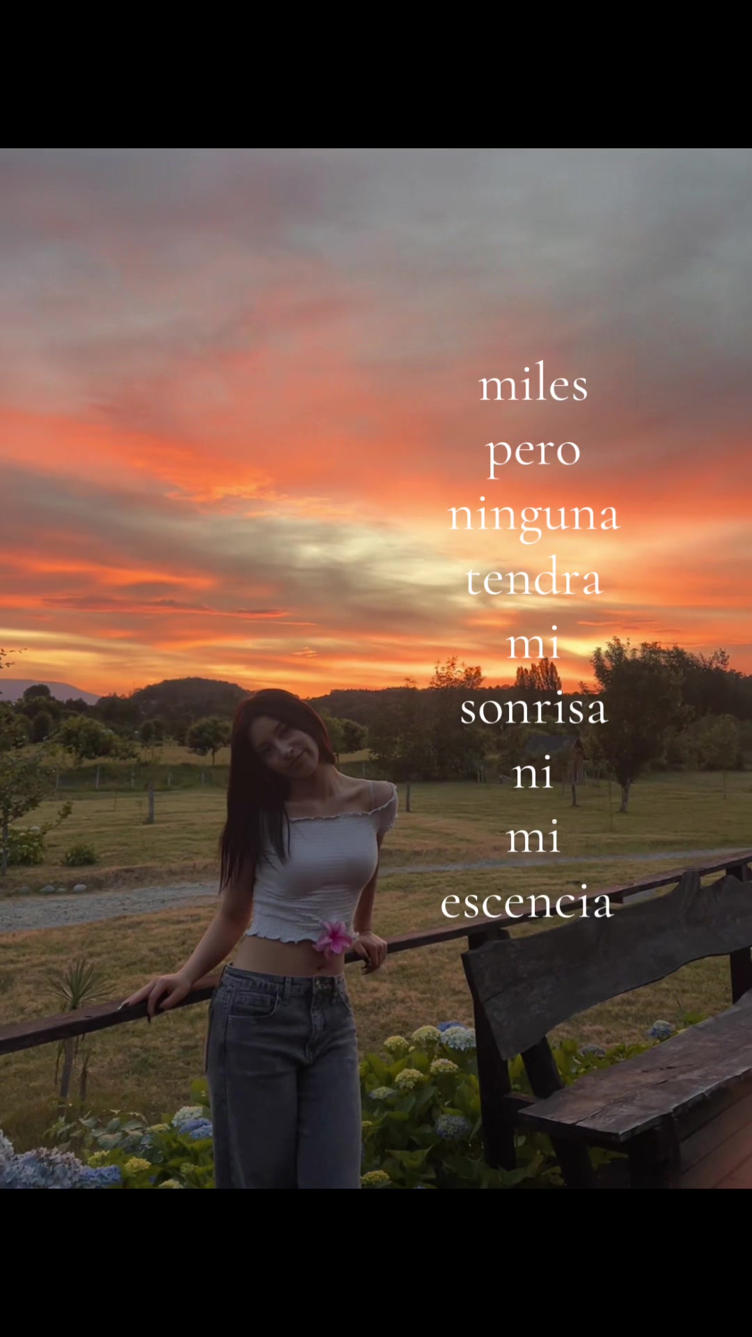 @fanyy