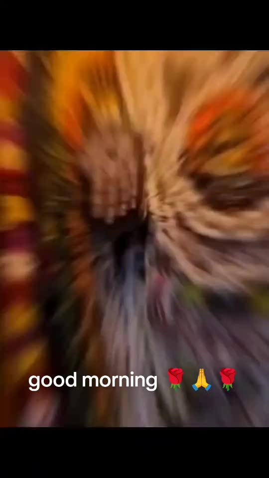 @Saraswathy k