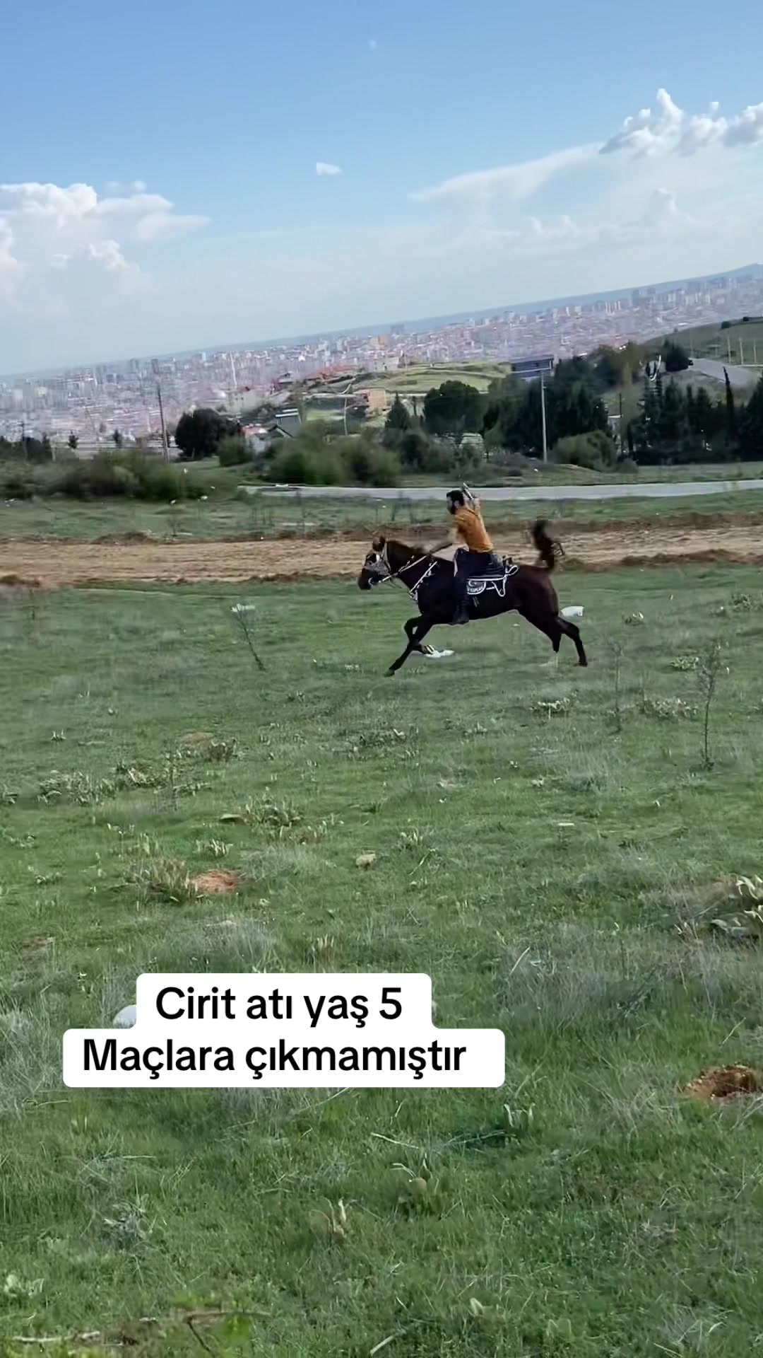 @Ergin Atcı