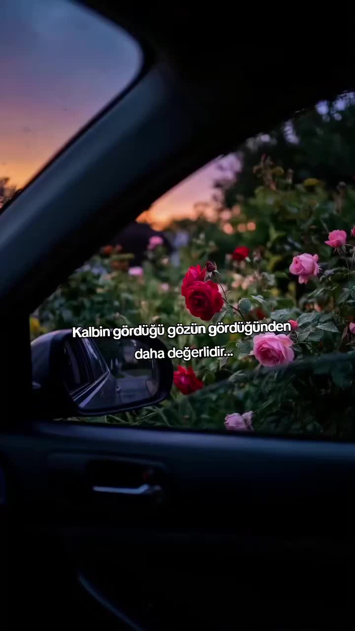 @kyplrdym