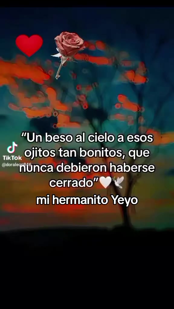@Erika Tatiana Pallares