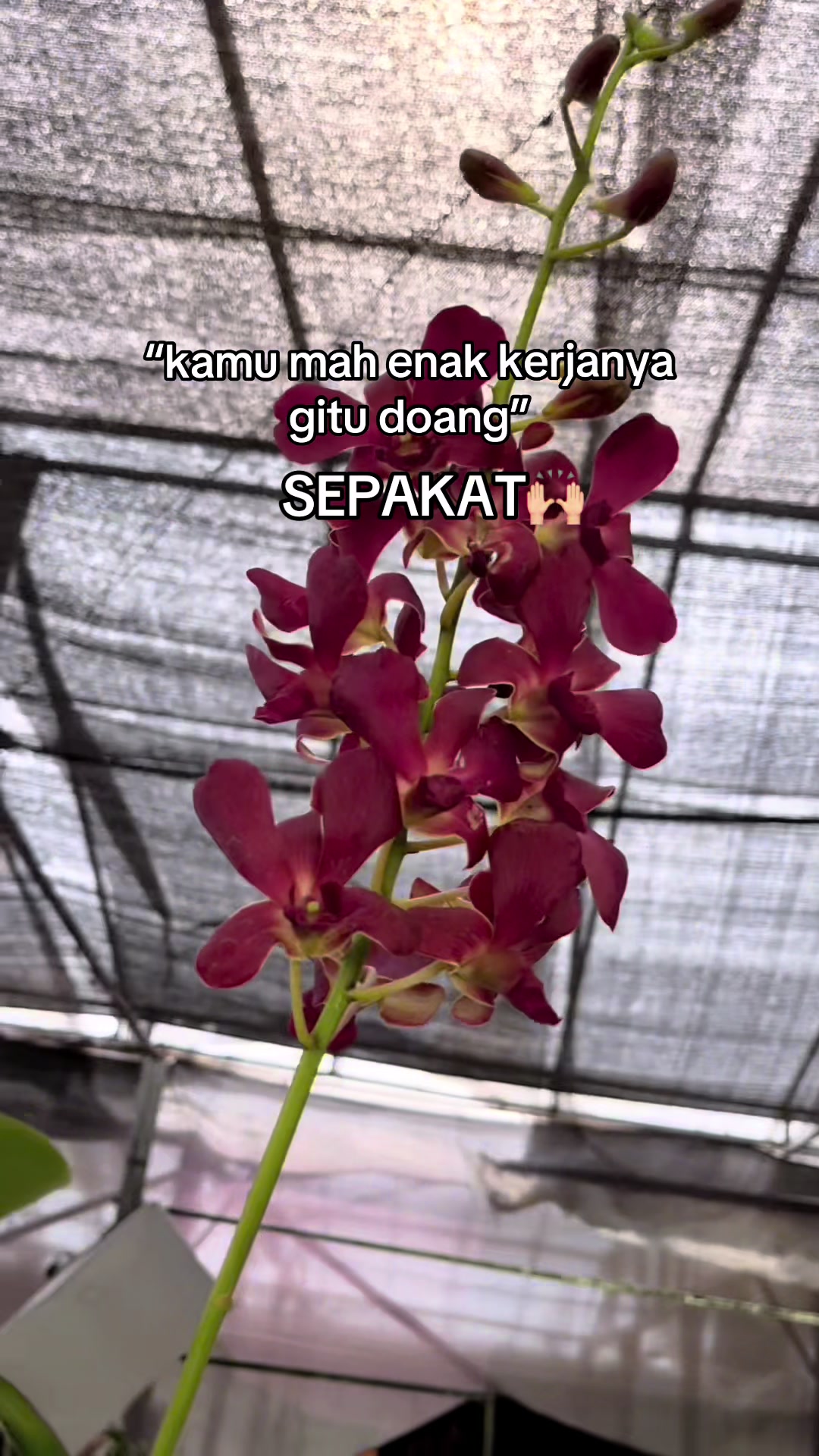 @Griya sekarindo utama