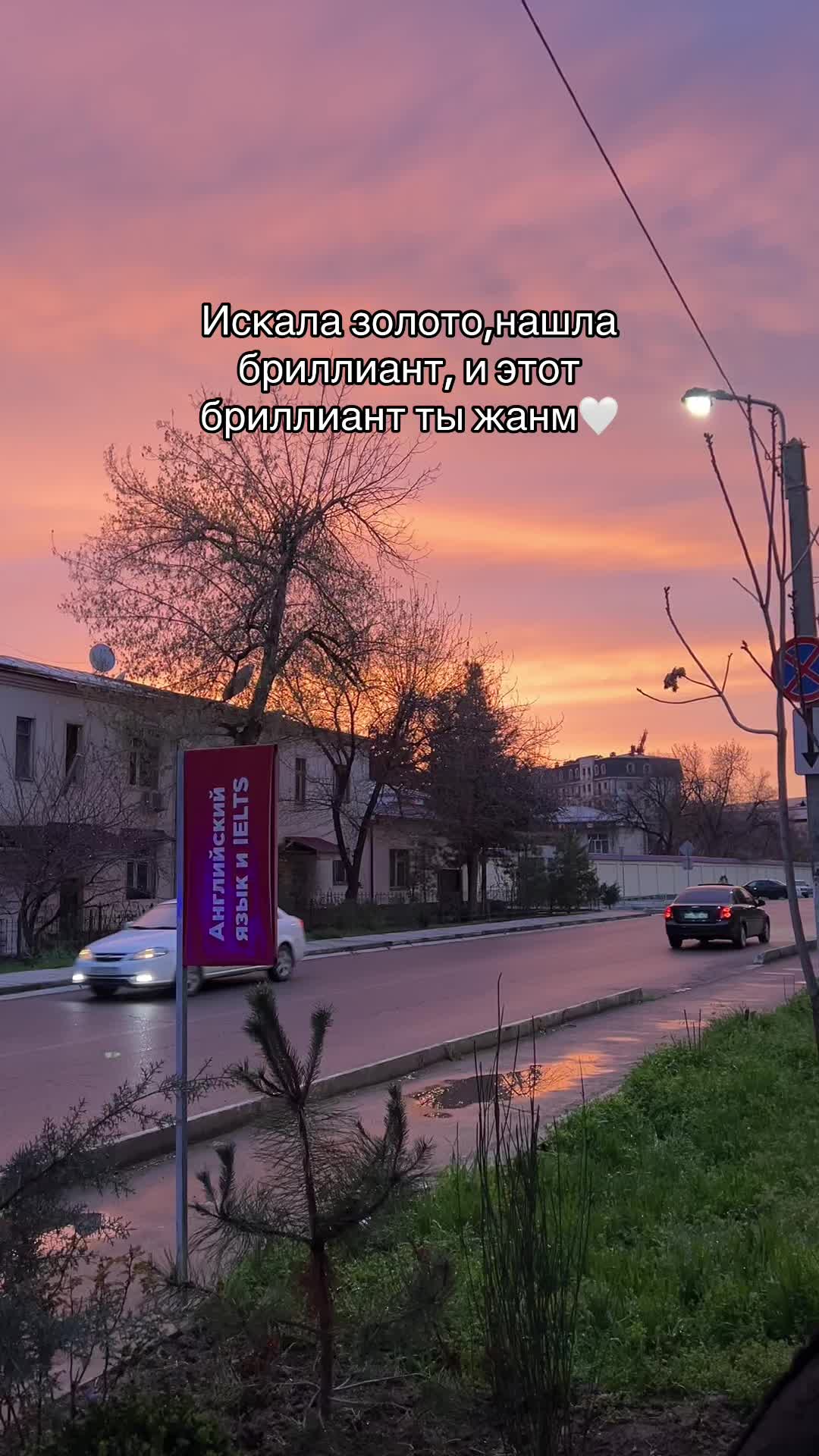 @Sofiyuwa