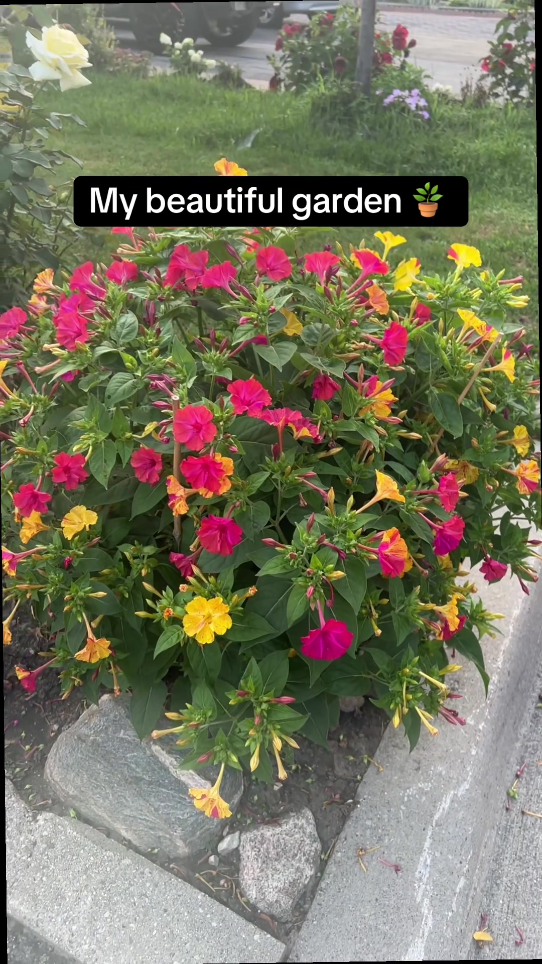@T.Akhtar Official