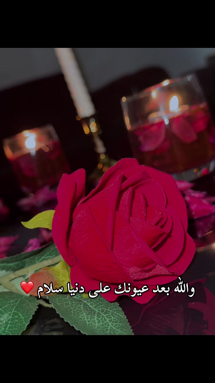 @زهرة النرجس