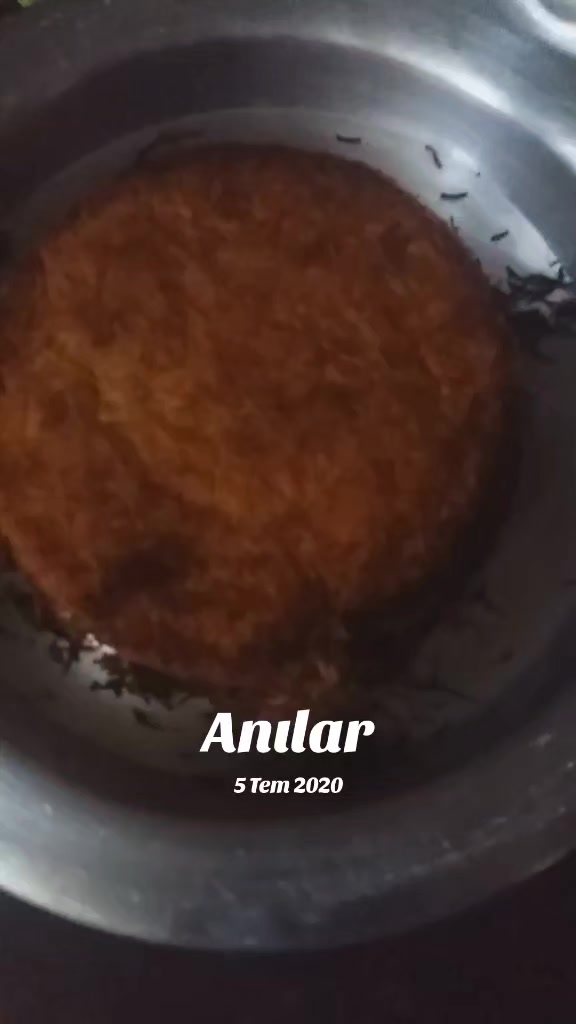 @🍏🇹🇷🎼ugurunsesi🎼🇹🇷🍏