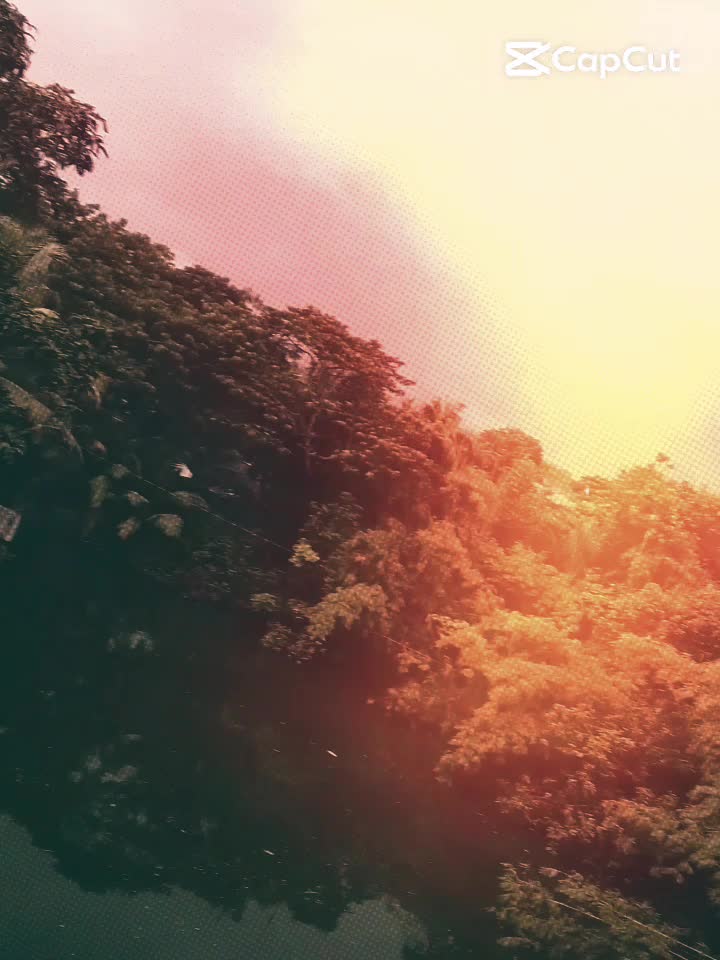 @🌸Apsana🌸p_