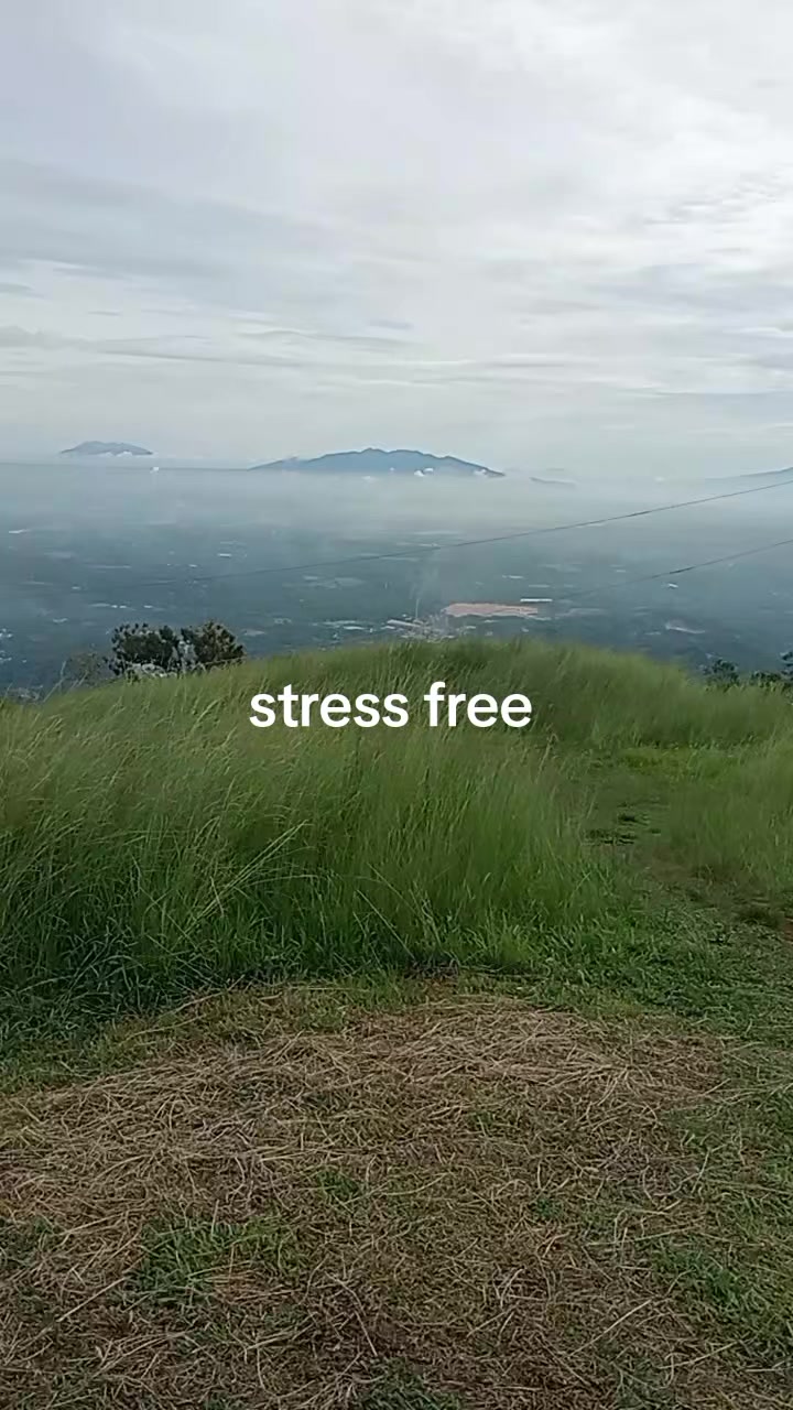 @Tita Cena