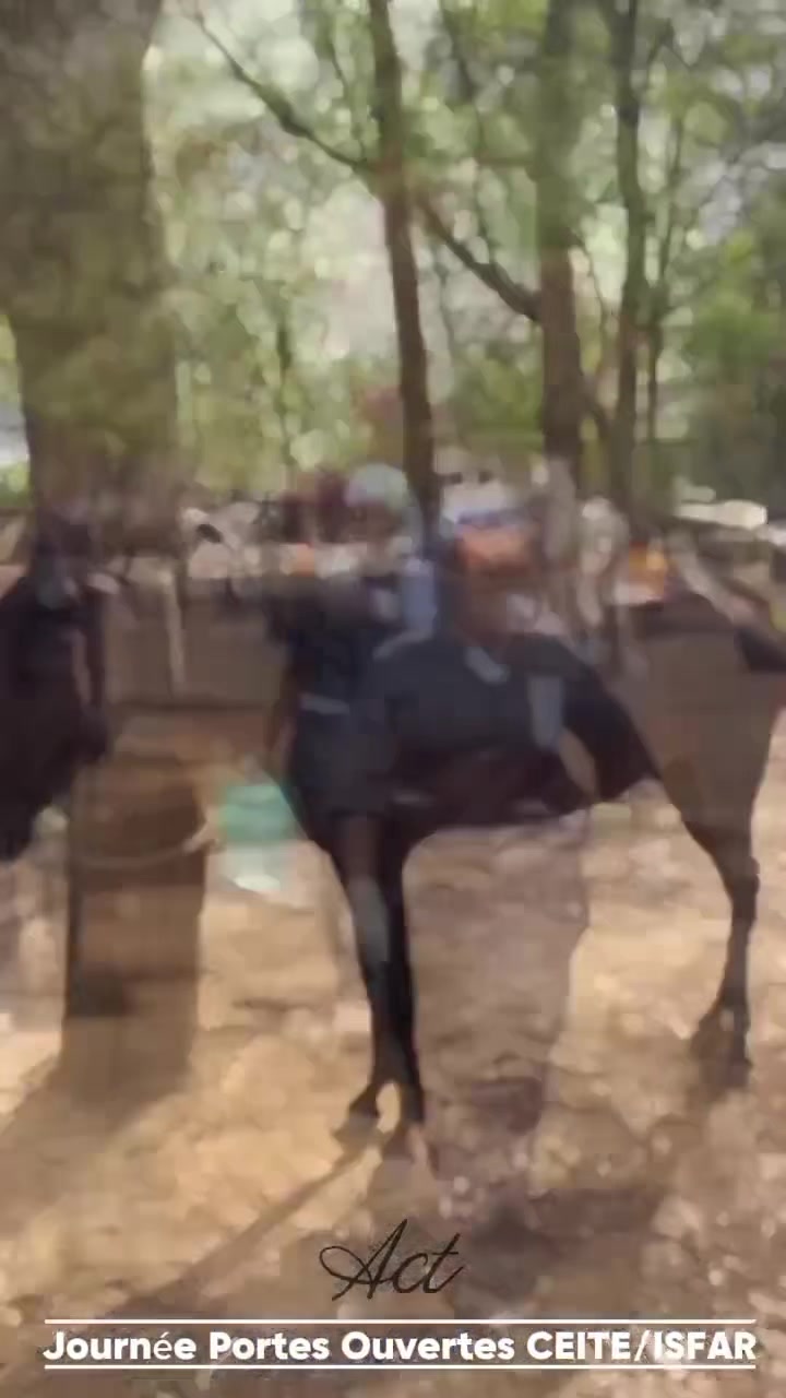 @ISFAR_ex_ENCR ☘️🌳🐎
