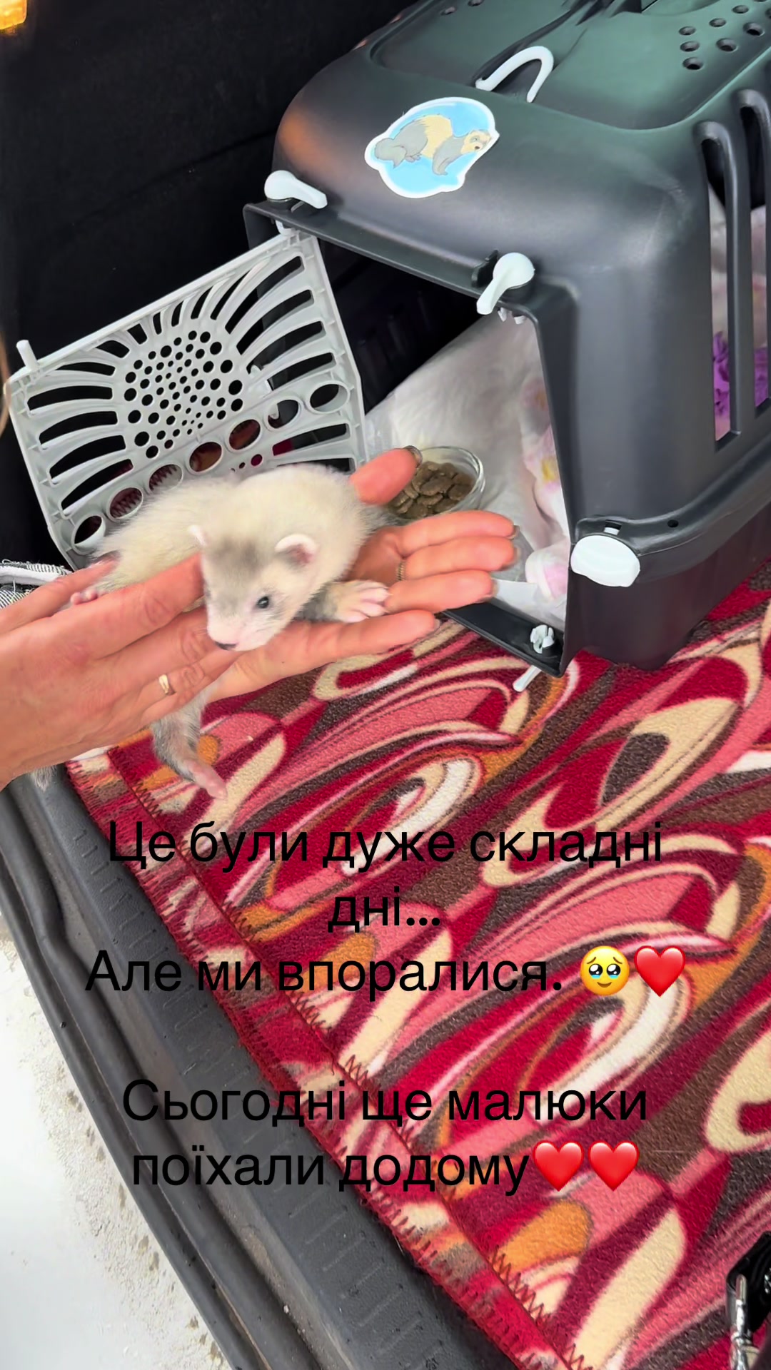 @🦦 Хорьки Київ 🇺🇦